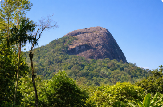 Bandekallu Betta Trek