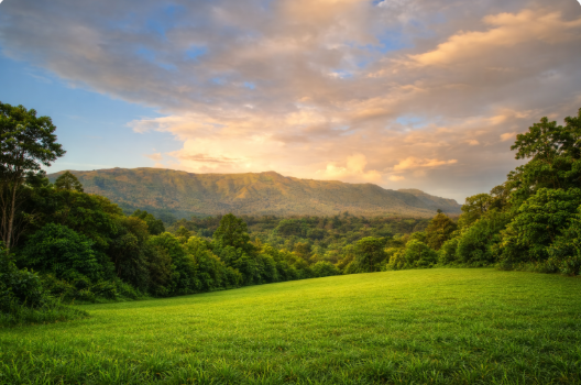 Mallandur View Point
