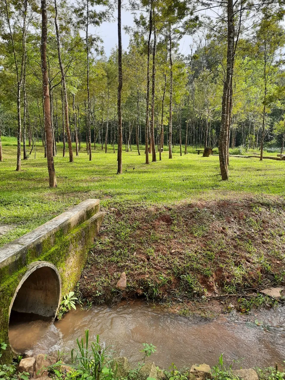 Natural surroundings