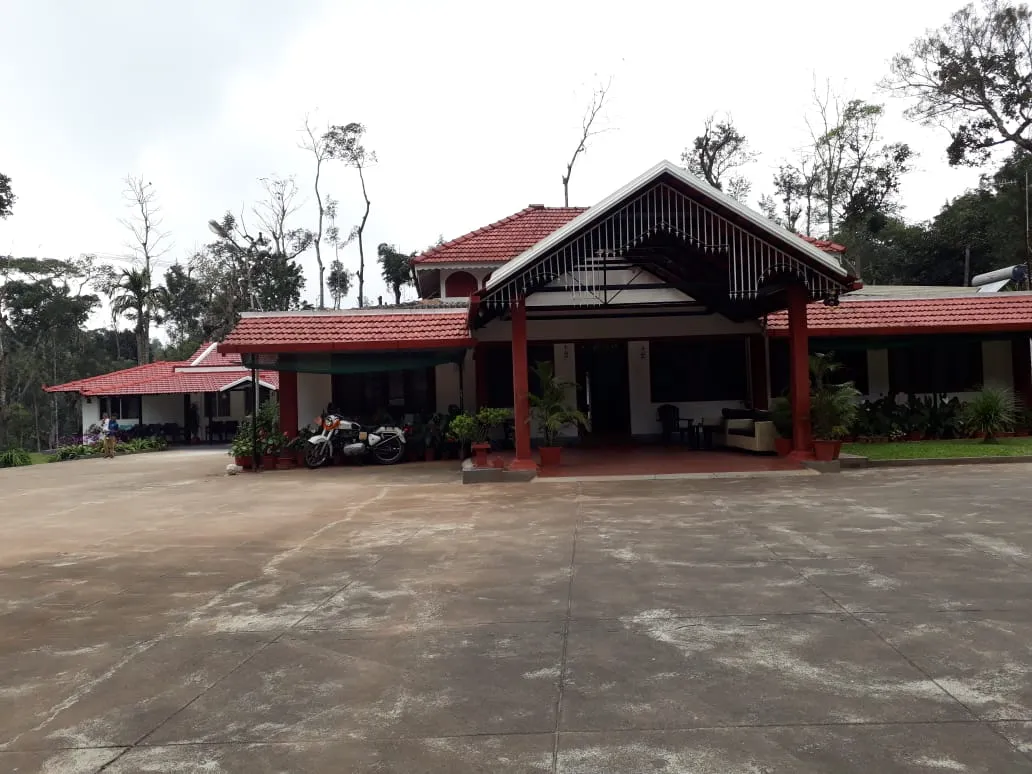Coffee plantation exterior in nature